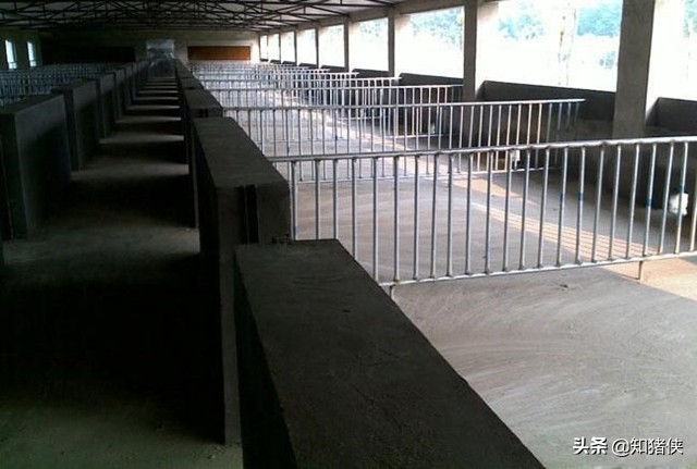 猪场场区分区图,猪场场区绿化平面图