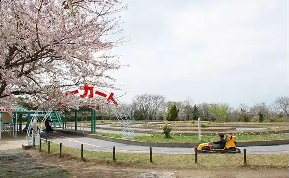 日本生态农业庄园,日本田园农场排行榜