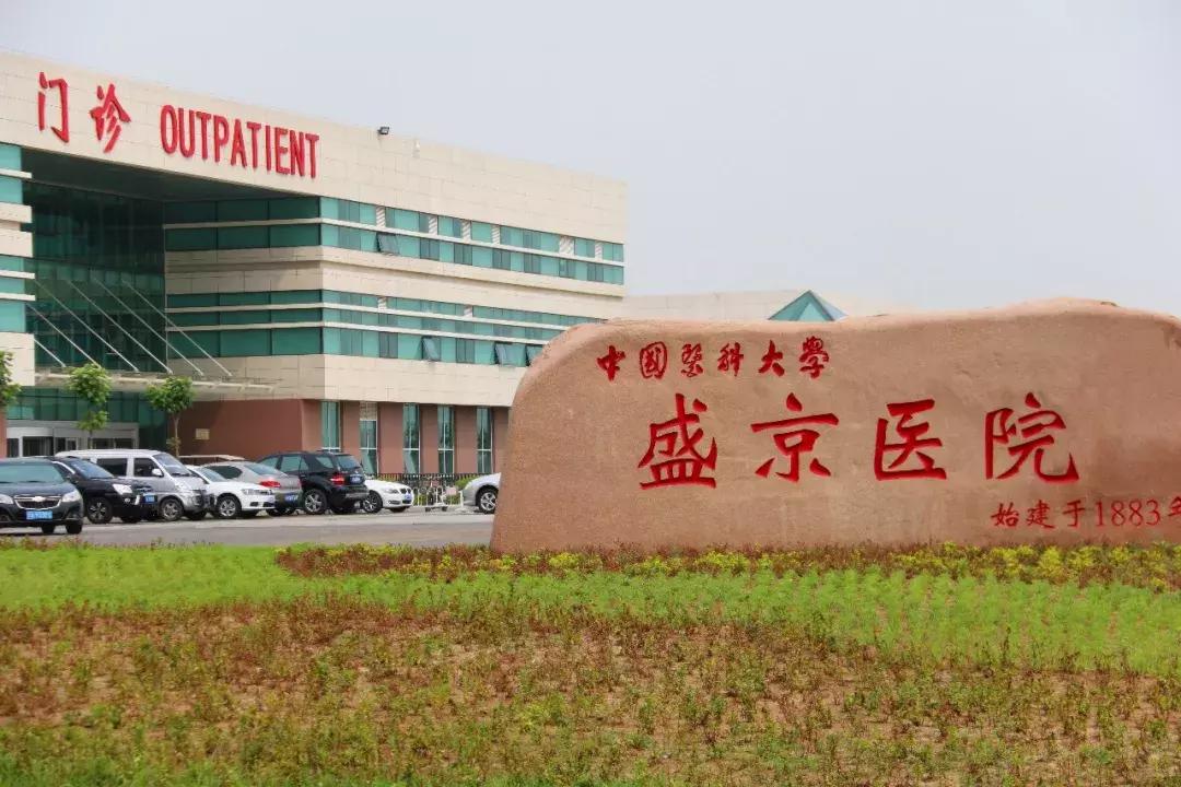 在沈北买房有发展吗,在沈阳买沈北房子的年轻人多吗