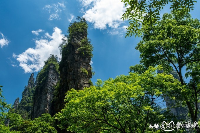 张家界武陵源天门山三日游团购,天门山森林公园张家界自由行攻略