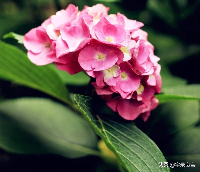 简短精辟的个性签名语录,个性签名经典语录精辟的短句