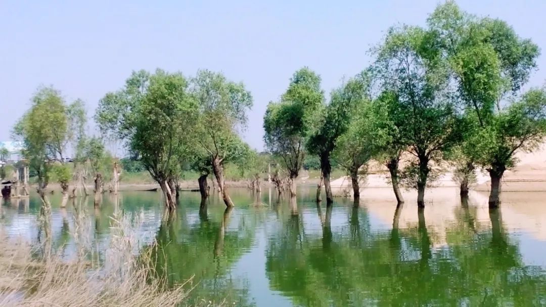 历史上洞庭湖是中国第一大湖吗,洞庭湖历史上最大面积