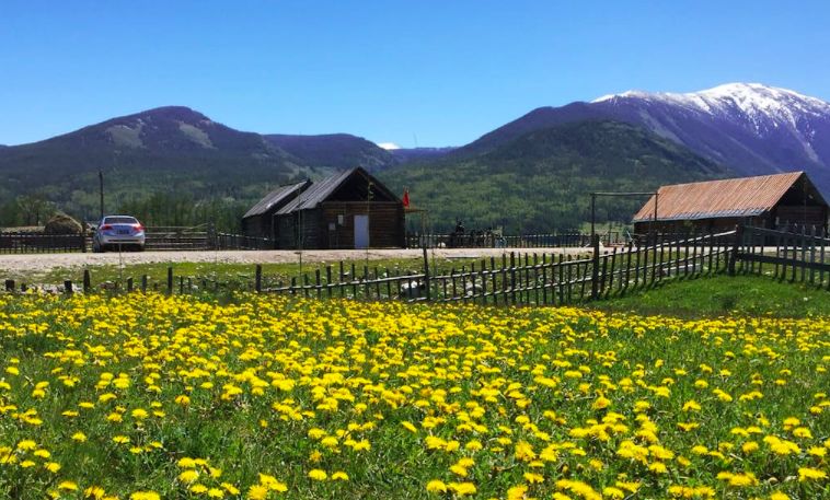 民宿365近期10家大热的极简民宿,西北风格民宿