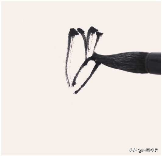 菊花花头国画画法和步骤,菊花花头写意画法教程