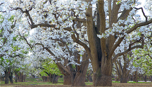 文旅旅游资讯,文旅报道兰州