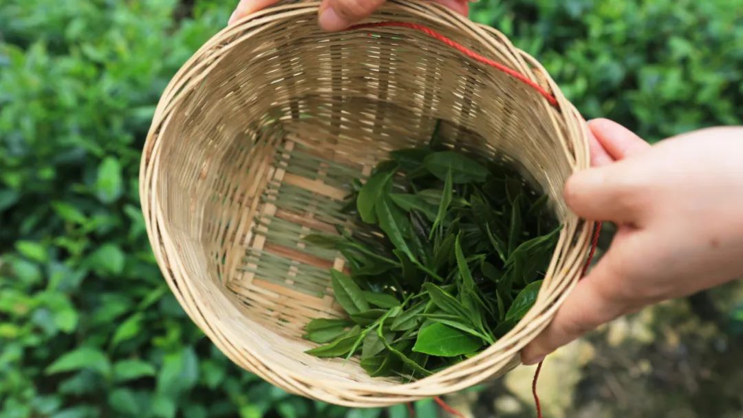 四川绝美风景酒店,四川旅游十大必去酒店推荐