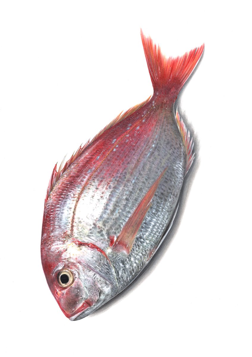 画这个愚蠢裸男漫画的背后,竟是一个可爱的男孩子?