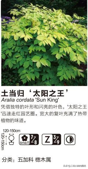 鍥壓鑺卞崏绉嶆鐭ヨ瘑鍏ラ棬,鑺卞崏鍥壓濡備綍鍏ラ棬