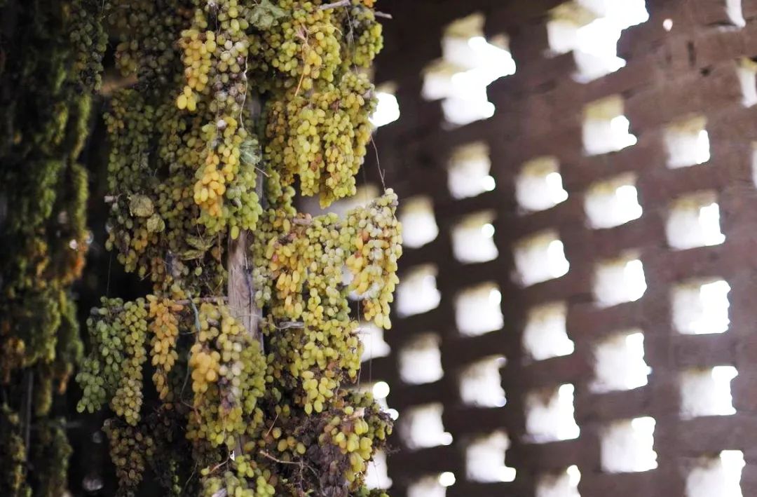 在*疆新**,谁才是“果界一哥”?