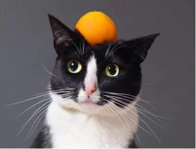 在国外想买苹果手机,在国外想买国内的东西