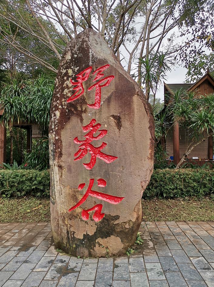 了解西双版纳的风俗和民族文化,西双版纳哈尼族特色民族文化