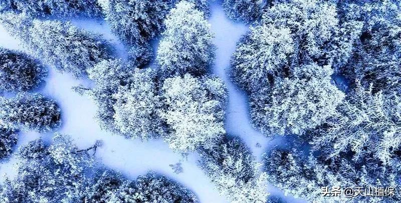 *疆新**克州,向全世界发出邀请!即将涌来大批人马