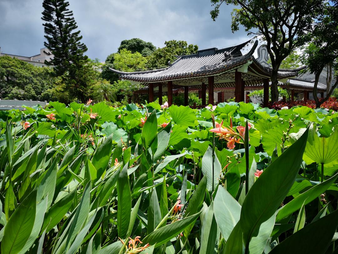 广西大学变化历史,广西大学文科毕业的你后来咋样了