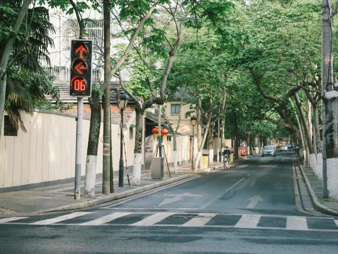 灵谷寺萤火虫7月,灵谷寺萤火虫目前还有吗