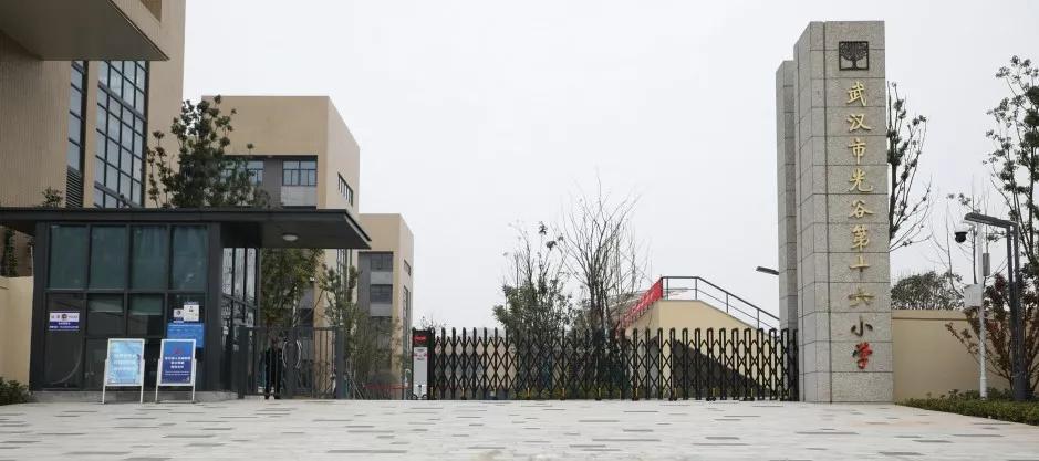 开挂了！比肩世界的爆款区域利好多到数不清！一般人已高攀不起