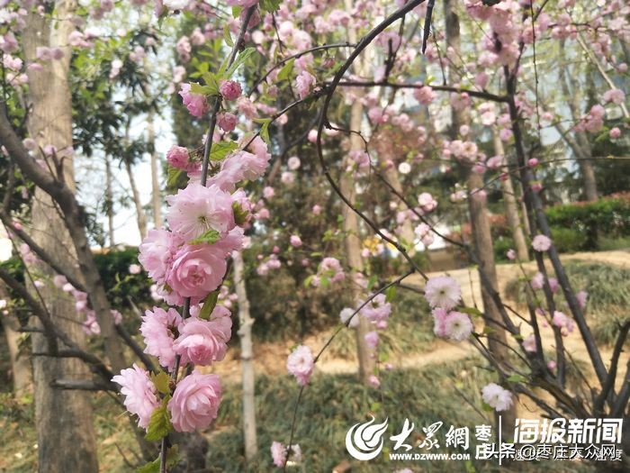 春暖花开的时候过敏有没有特效药,春暖花开过敏季