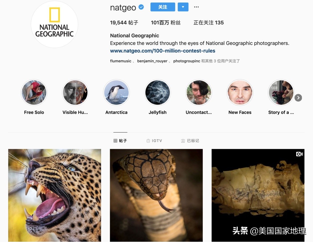 万中选一！大自然是怎样赋予照片灵魂的？