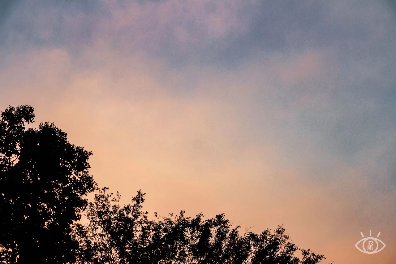 深圳各区最美的地方,深圳6个绝美地方