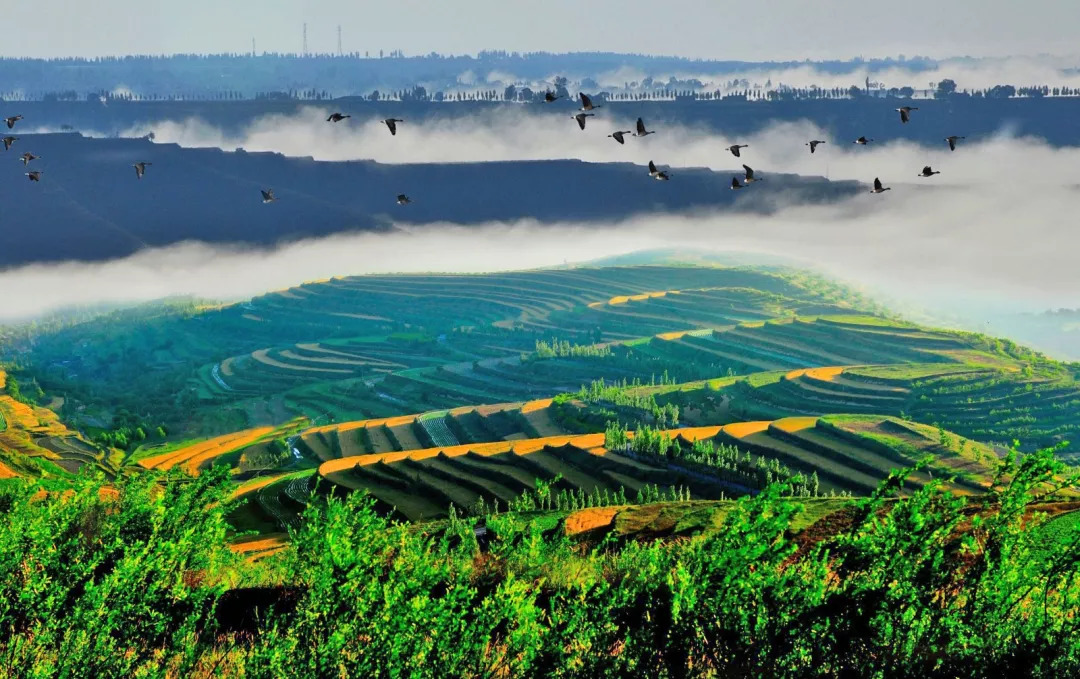 去一次大西北等于远行十次,去宁夏旅游的最佳地方