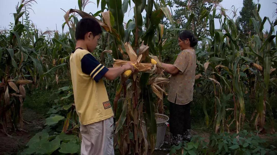 一家人如果都没了能相聚吗,春节的意义就是一家人团聚的时候