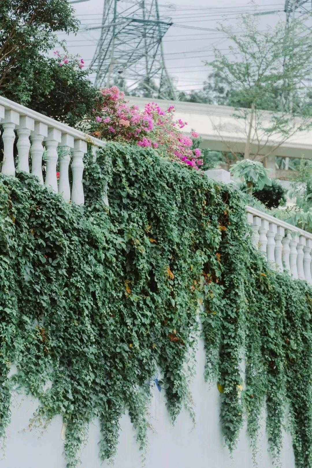 重庆轨道3号线,贵阳地铁3号线