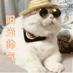 国家网信办处置违法账号,国家网信办回应网络乱象