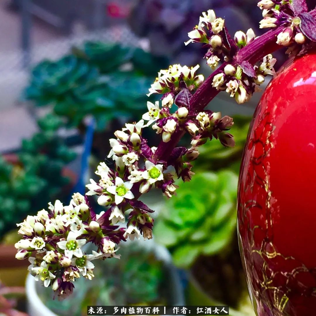 记录走过的美景留下美好的回忆,记录走过的每一段美好时光