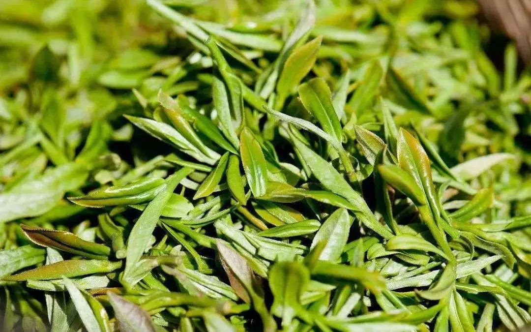 在家也能吃到的西湖名菜龙井虾仁,杭州湖滨好吃的龙井虾仁