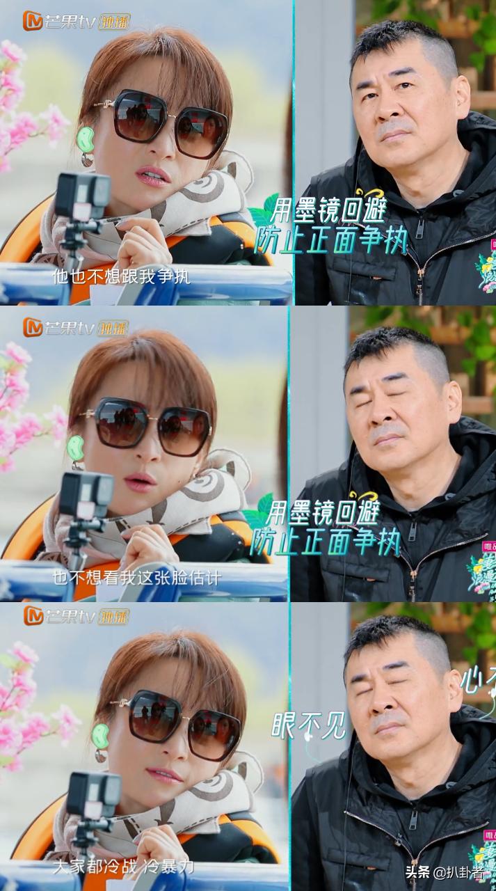 秦海璐王新军爱情该有的样子,秦海璐王新军怎么走到一起的