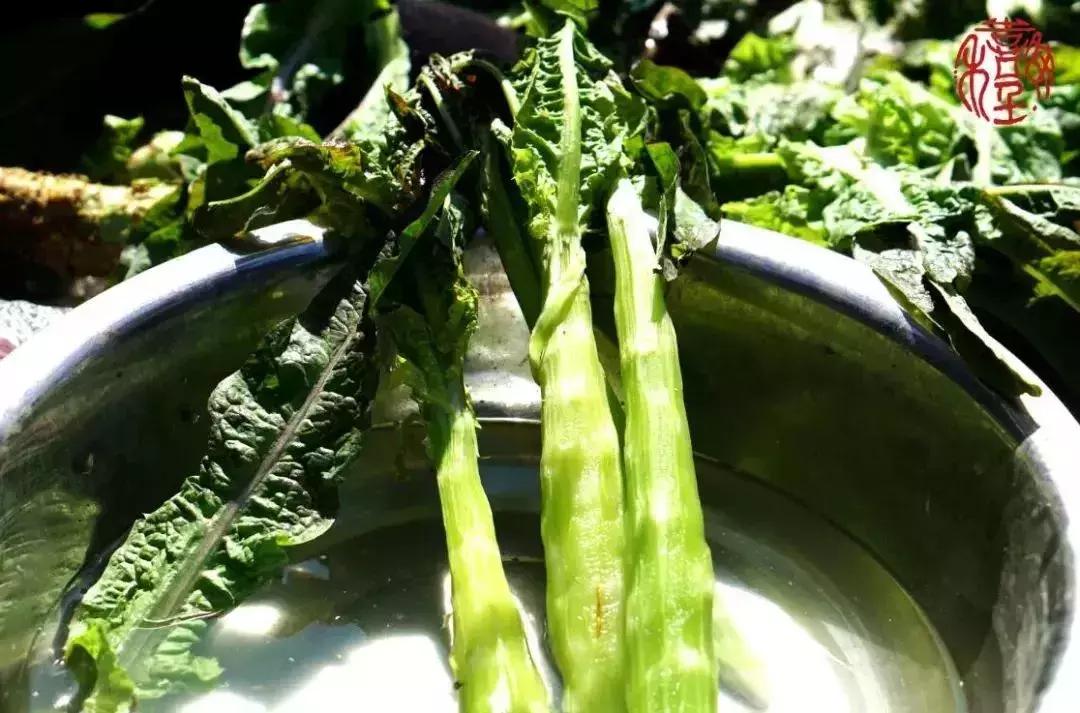 苏州通安的特色,苏州通安有什么美食