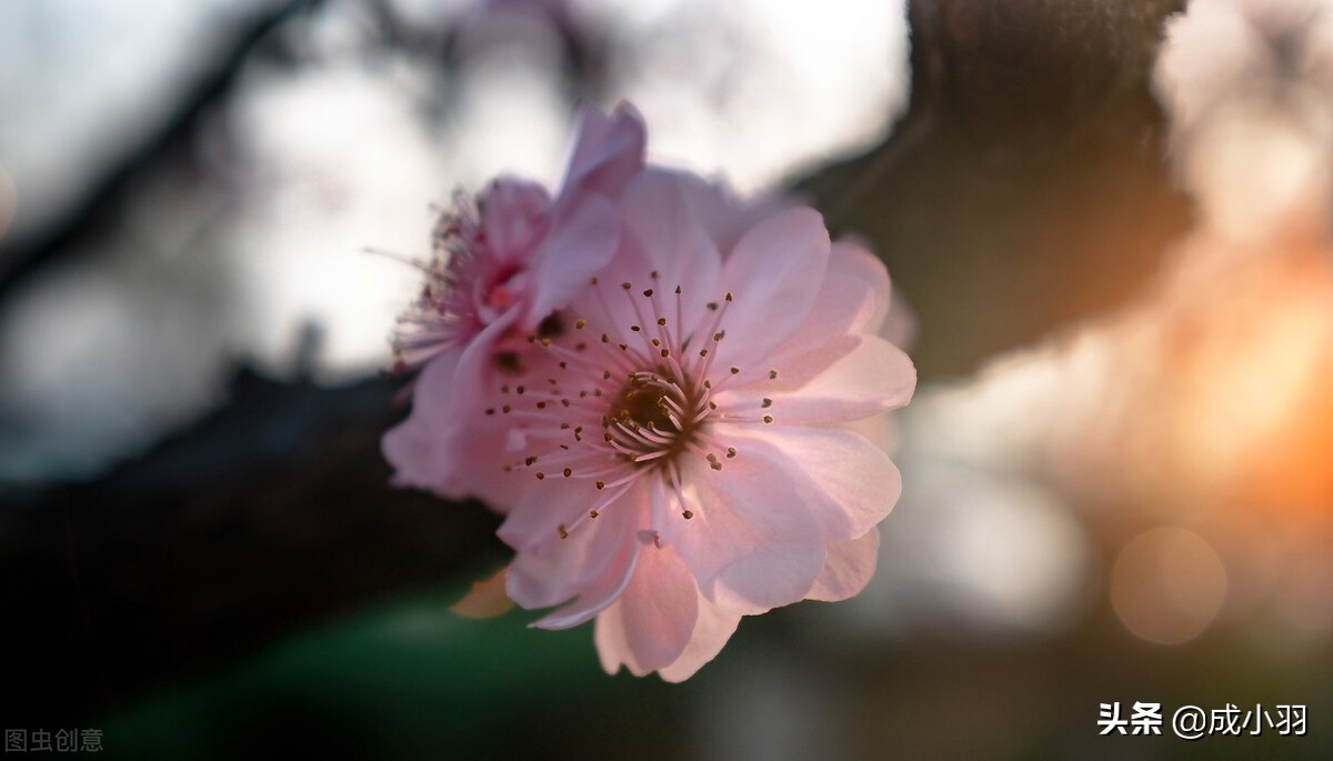 男人被你搞定后会有这四种变化,男人被你搞定之后会有这四种变化