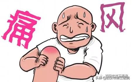 痛风影像技术,痛风石电镜