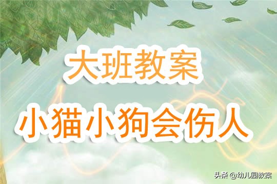幼儿园小猫小狗会伤人情景剧,幼儿园小猫小狗会咬人安全公开课
