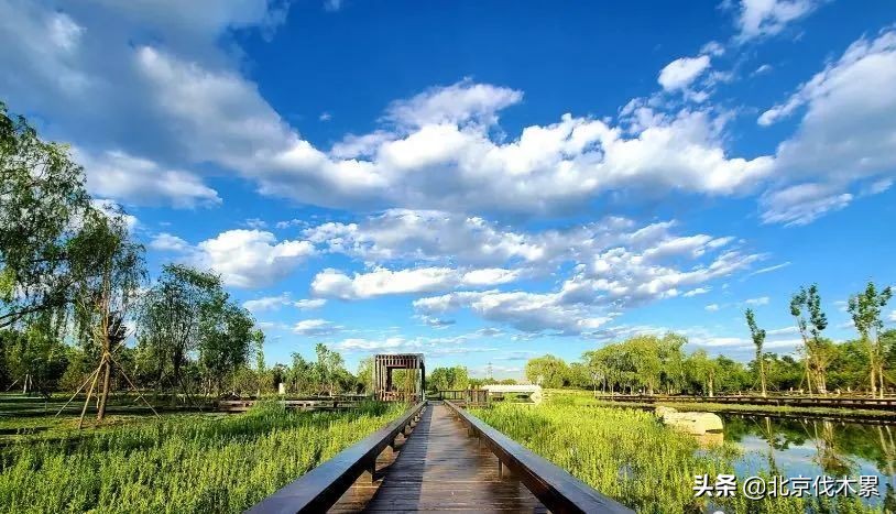 芒种旅游景点推荐,芒种至仲夏节气