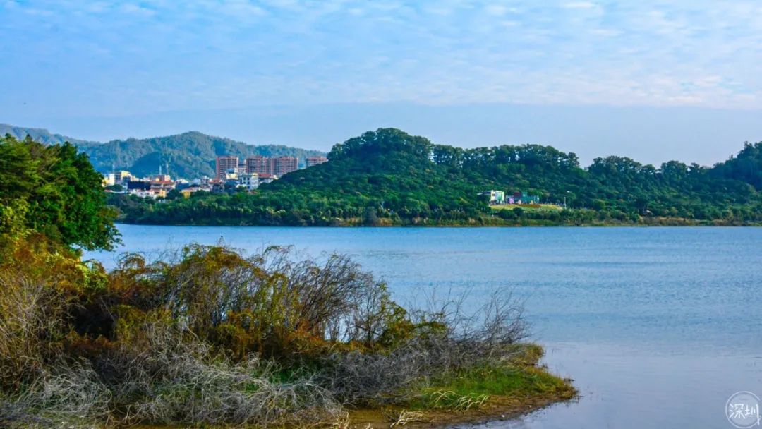 绂忔案鍦ㄥ疂瀹夌殑缁忔祹鍦颁綅,娣卞湷瀹濆畨绂忔案璐㈠瘜鎺掑悕