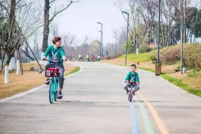 看看纽约中央公园的美景,真实的纽约中央公园