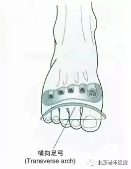 为了您的健康原版,为了您的健康保驾护航