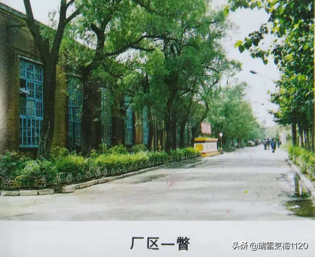 沈阳老照片|沈阳蓄电池厂·满洲汤浅电池株式会社