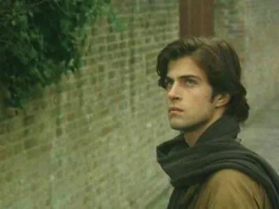 有王子谁还看剧情？帅就完了。荧幕上的中外王子，谁是你的菜？