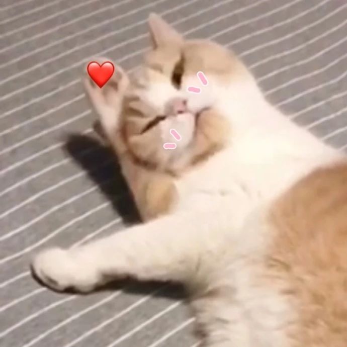 她把脱衣舞跳成艺术被称为世界首席脱衣舞娘,她就是性感的最高级