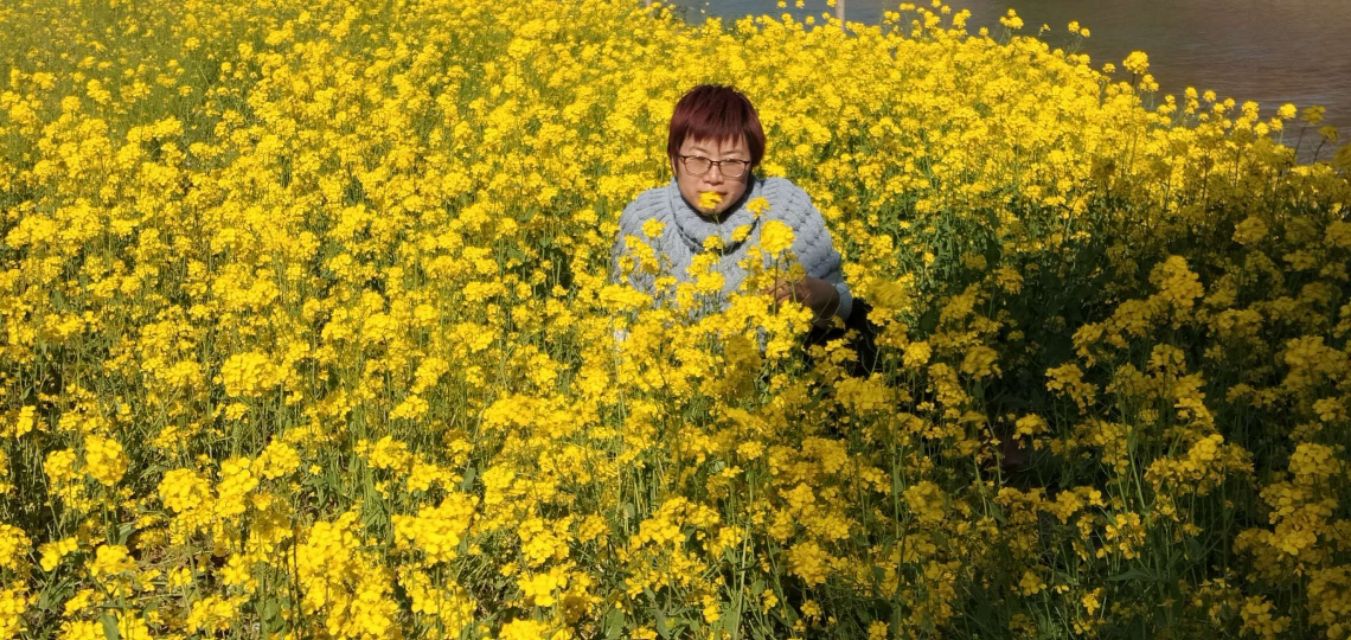 七律春日感怀的诗词,七律春日寻春诗词