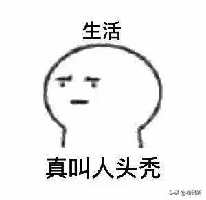 猫薄荷骗猫喝水有危害吗,为什么猫吸猫薄荷会上瘾