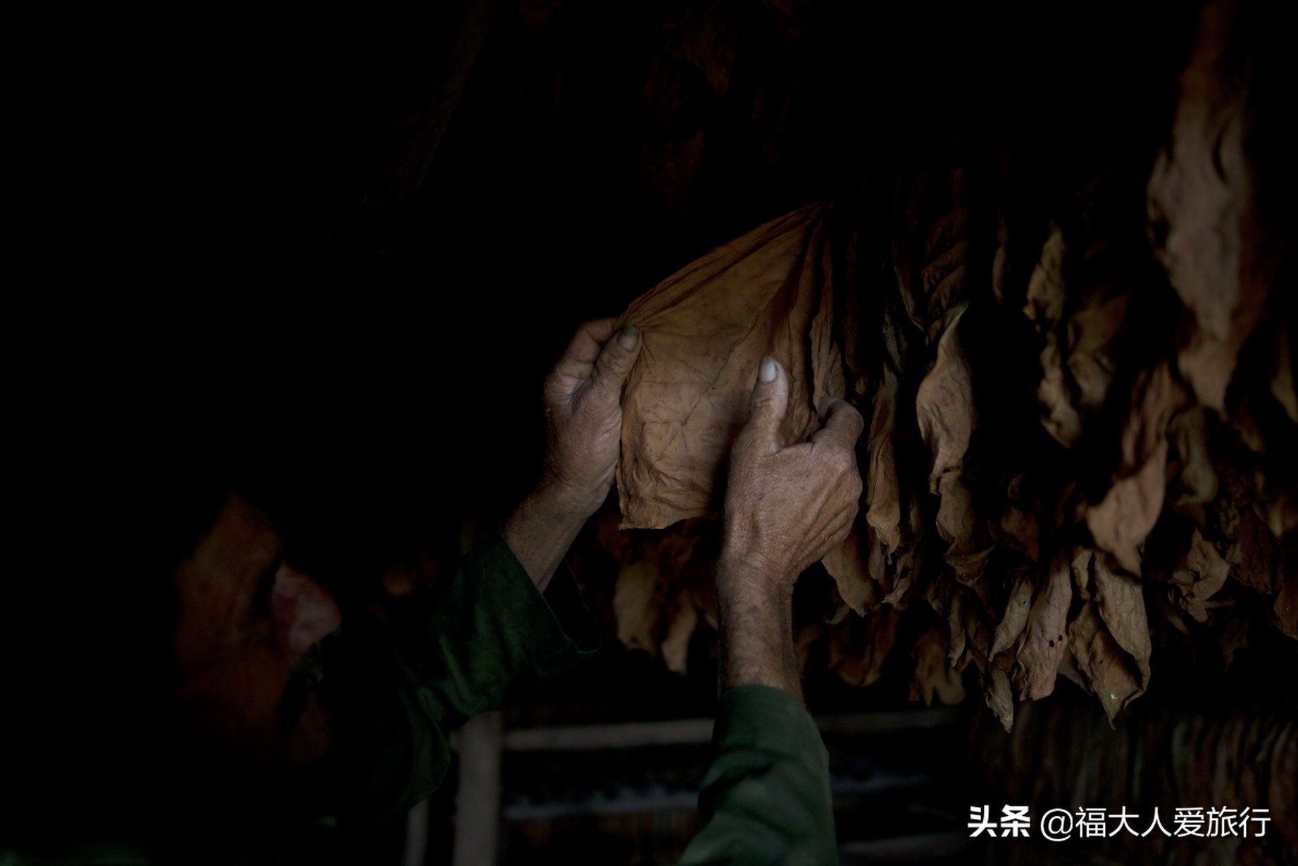 古巴最贵雪茄品牌价格表,最贵的古巴雪茄多少钱一支