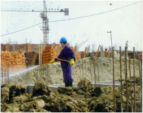 珠海市白蚁灭治服务,珠海市白蚁消杀技术