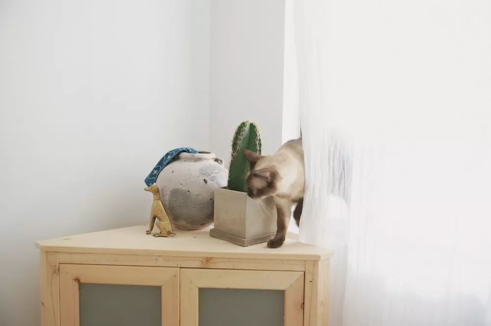 用水泥砌橱柜,用粘土做迷你橱柜