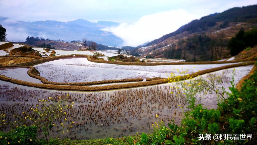 云南普者黑元阳坝美6天旅游攻略,云南建水普者黑旅游路线