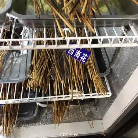 史上无敌最搞笑的错别字,十大奇葩错别字