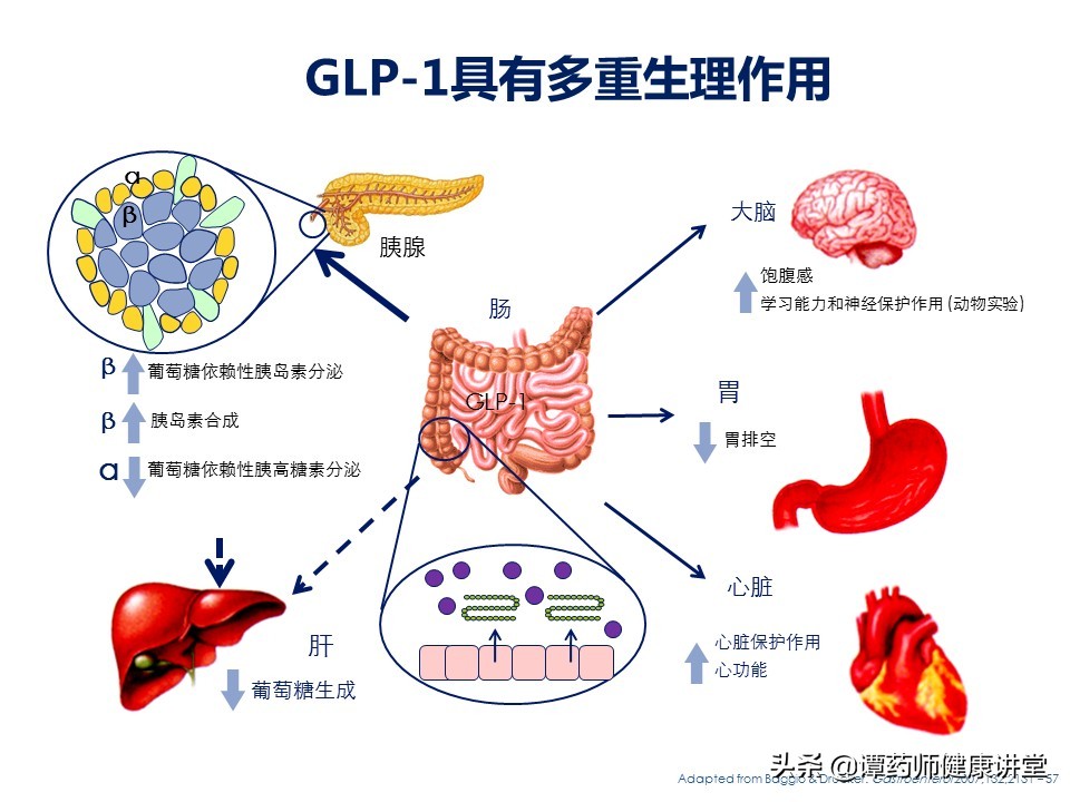 治疗糖尿病重磅新药,降糖尿病的新型药