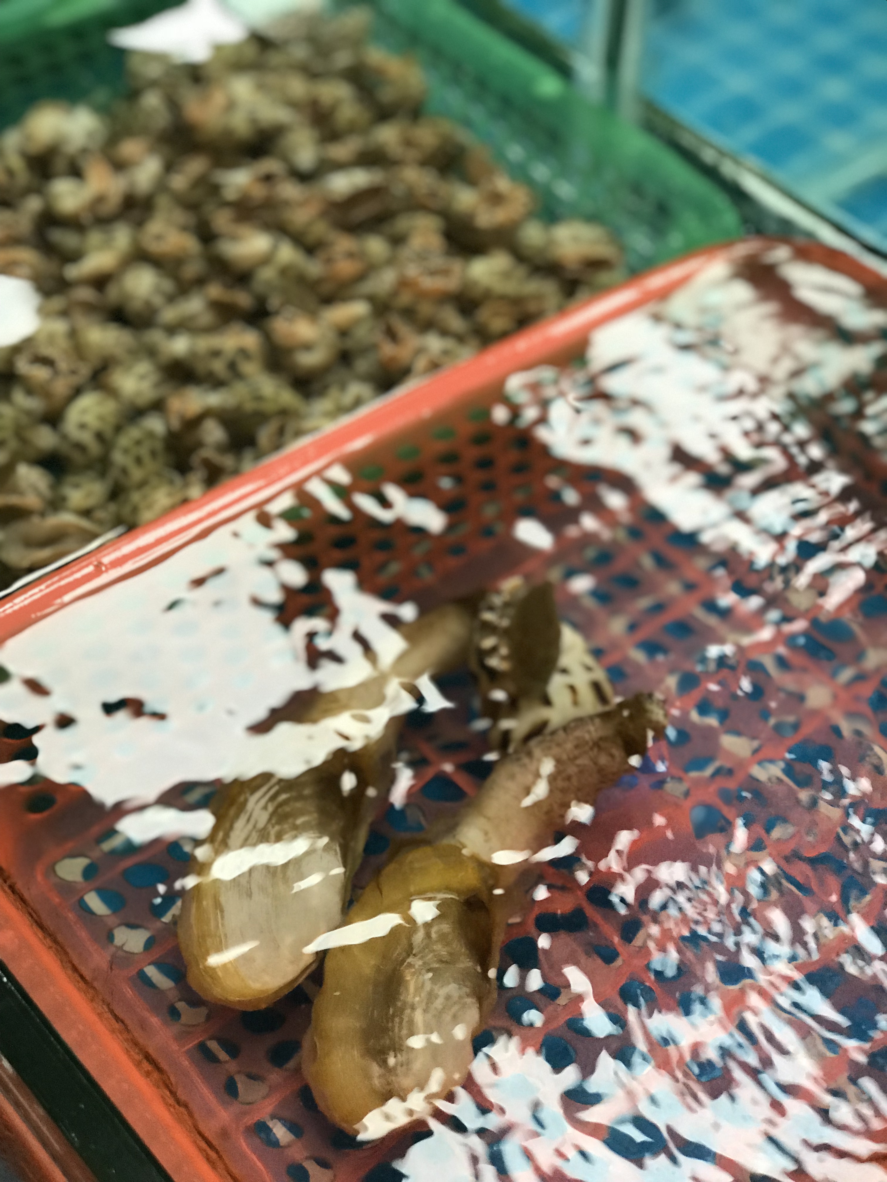 来来海鲜,旧店迁新址,老板直说我们家的菜都好吃,来过都想再来