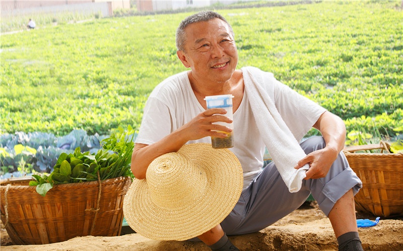 农村承包70亩地种植什么比较赚钱,承包田地种植能赚钱吗